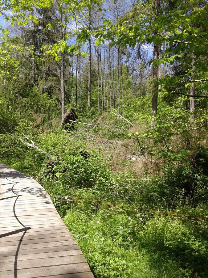 Białowieża Cztery Pory Rokuゲストハウス エクステリア 写真