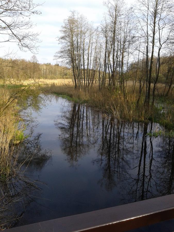 Białowieża Cztery Pory Rokuゲストハウス エクステリア 写真