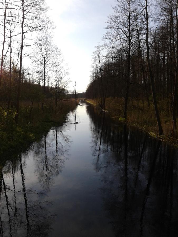 Białowieża Cztery Pory Rokuゲストハウス エクステリア 写真