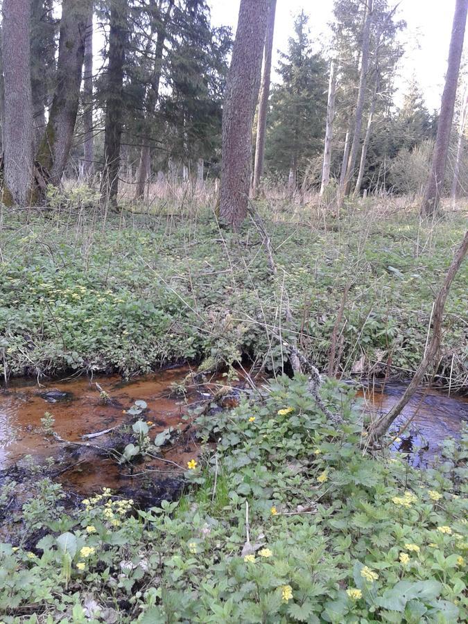 Białowieża Cztery Pory Rokuゲストハウス エクステリア 写真